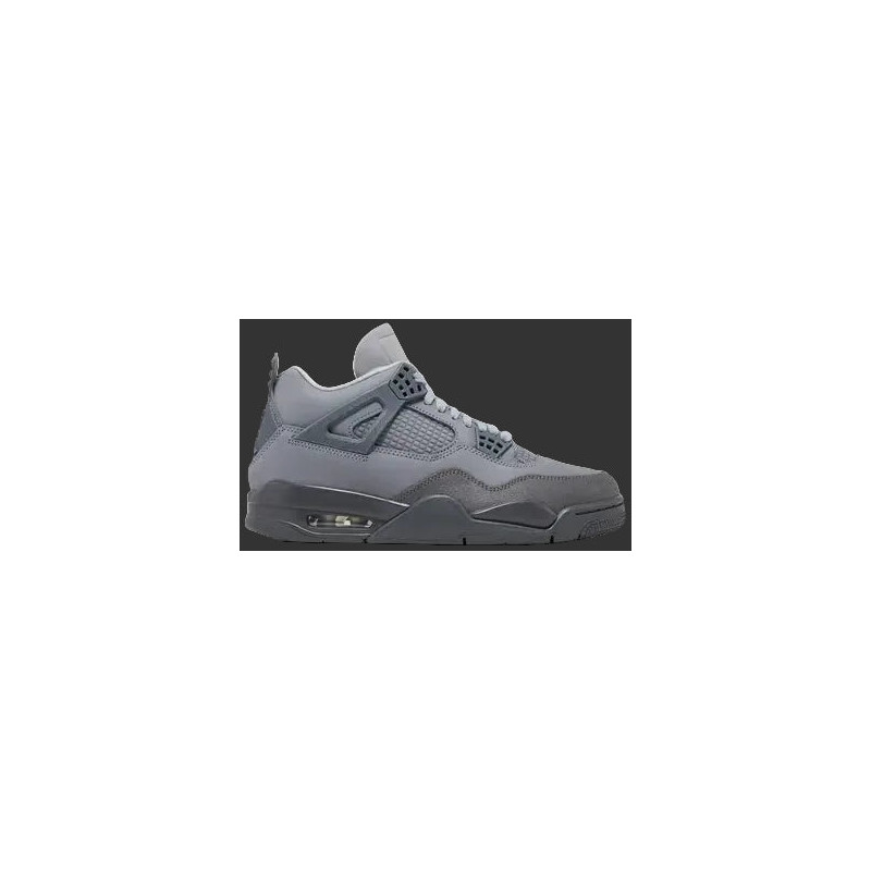 Air Jordan 4 Retro SE 'Wet Cement'